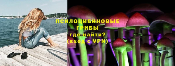 дмт Армянск