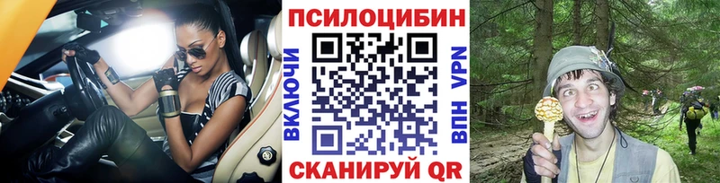 Галлюциногенные грибы ЛСД  Суджа 